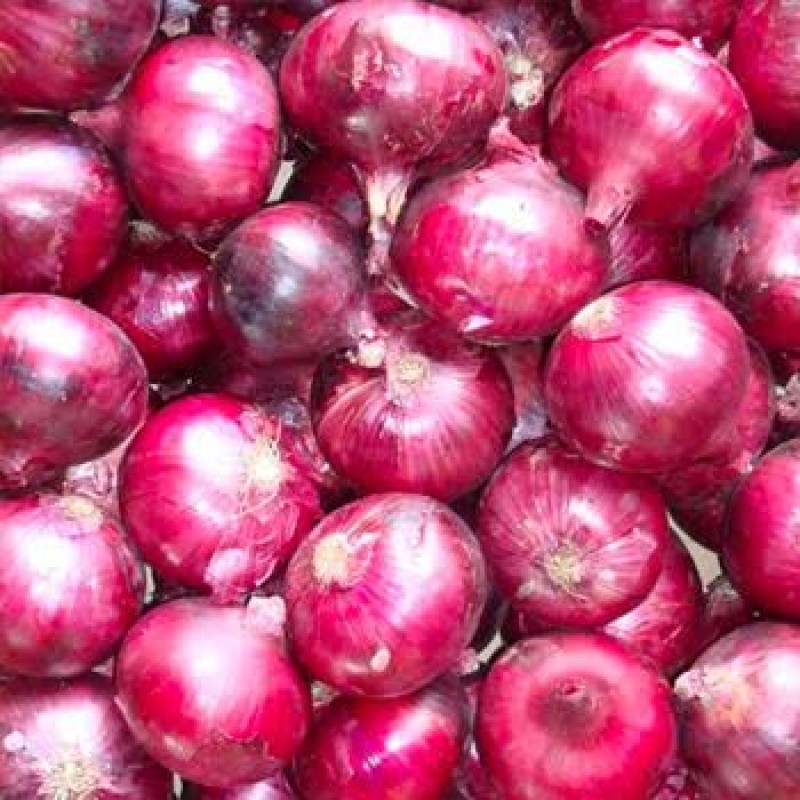 Red Onion from Kenya